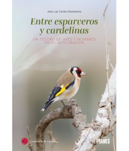 Entre esparveros y cardelinas