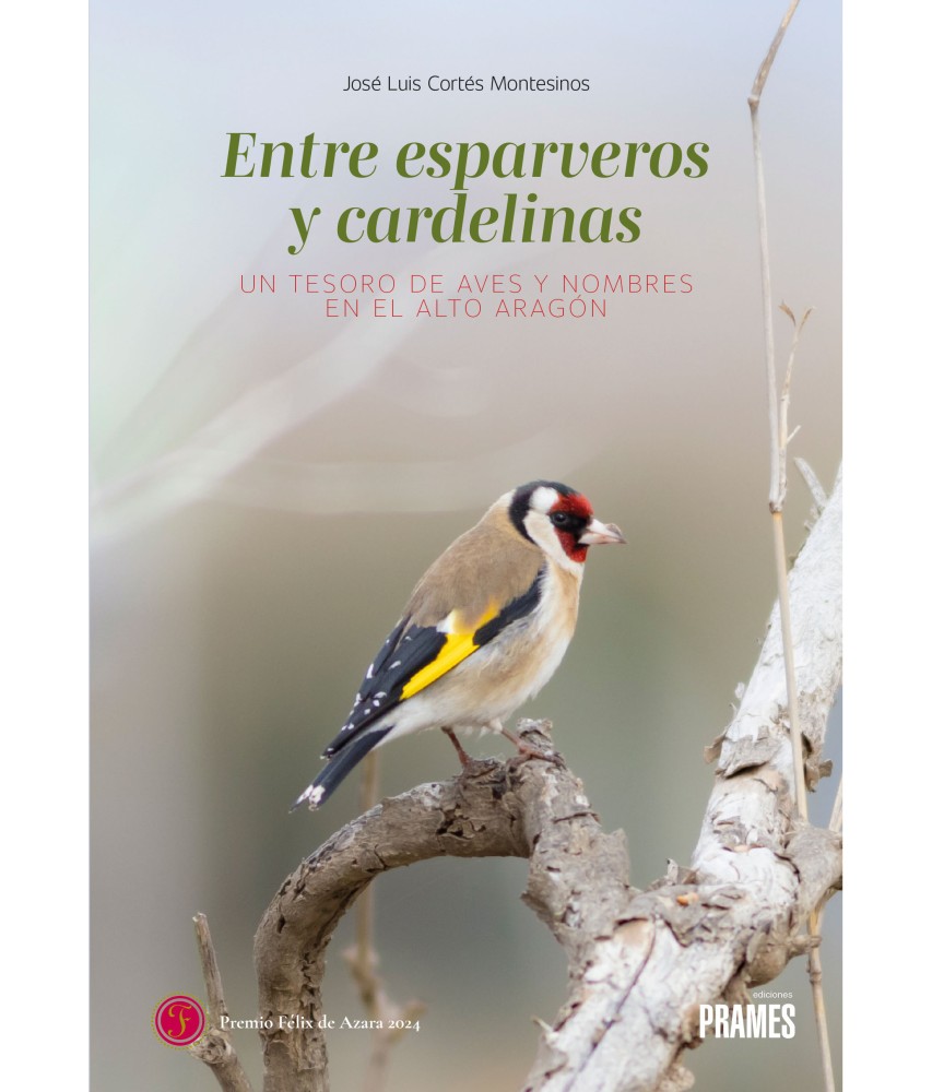 Entre esparveros y cardelinas