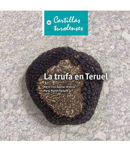 La trufa en Teruel