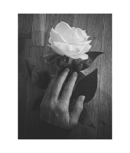 Un año (y medio) de amor