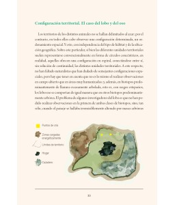 Tratado de huellas y rastros de mamíferos ibéricos terrestres