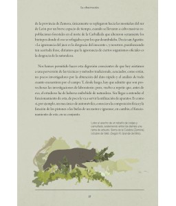 Tratado de huellas y rastros de mamíferos ibéricos terrestres