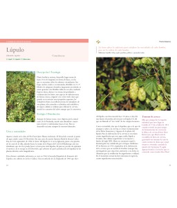 La inteligencia natural de las plantas
