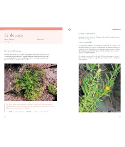La inteligencia natural de las plantas