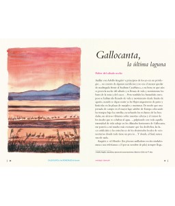Gallocanta y los humedales de interior